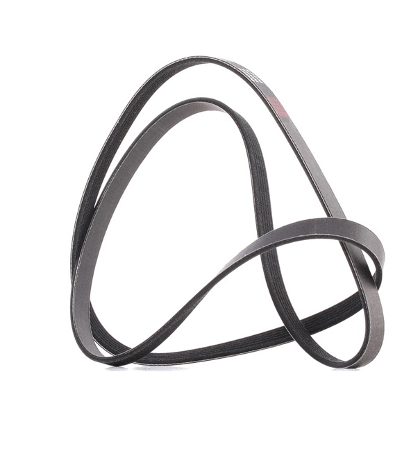 Achetez des Courroie Poly-V RIDEX PLUS 305P0115P à prix pour 13,30 €
