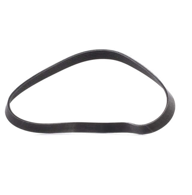 Acquista Cinghia servizi da RIDEX PLUS 305P0311P a buon mercato per soli 13,05 €