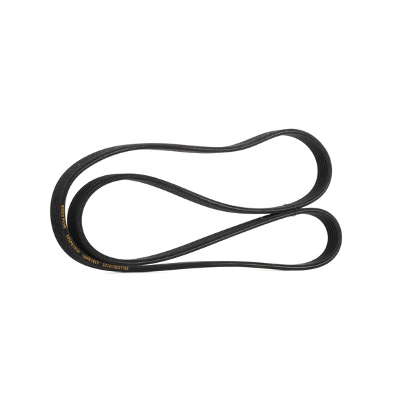 Online Shop für Keilrippenriemen von RIDEX PLUS EAN: 4066423604283