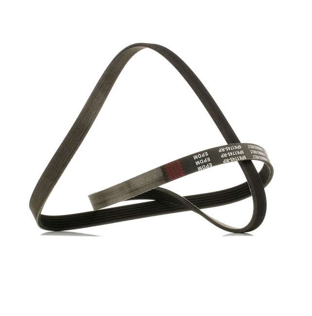 Achetez des Courroie Poly-V RIDEX PLUS 305P0084P à prix pour 16,79 €