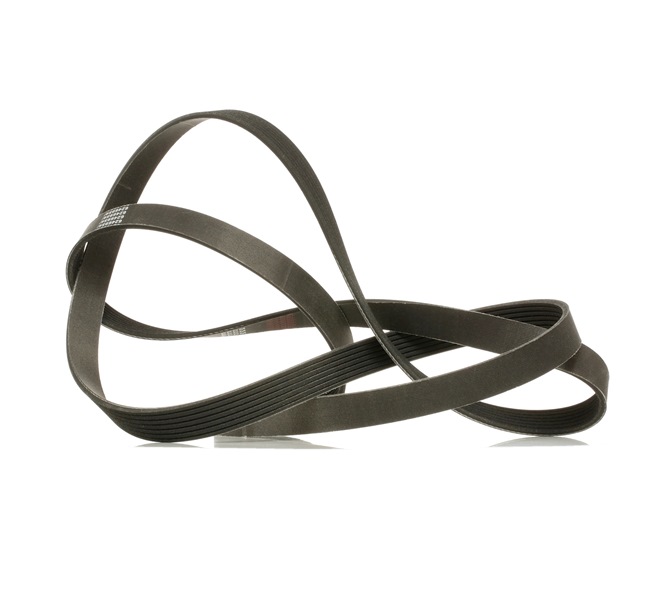 Achetez des Courroie Poly-V RIDEX PLUS 305P0109P à prix pour 24,00 €