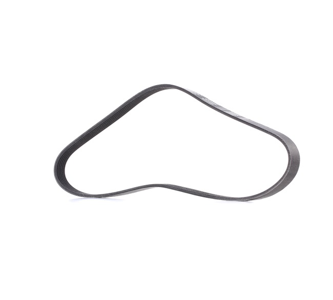 Achetez des Courroie Poly-V RIDEX PLUS 305P0407P à prix pour 25,03 €