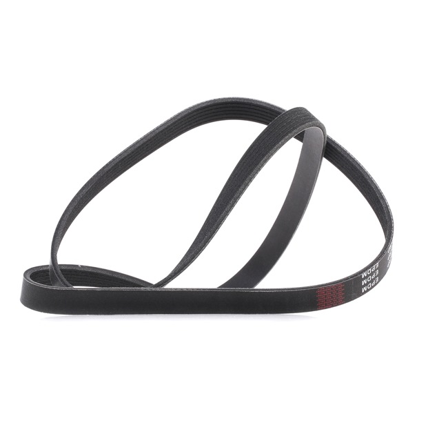 Achetez des Courroie Poly-V RIDEX PLUS 305P0074P à prix pour 14,34 €