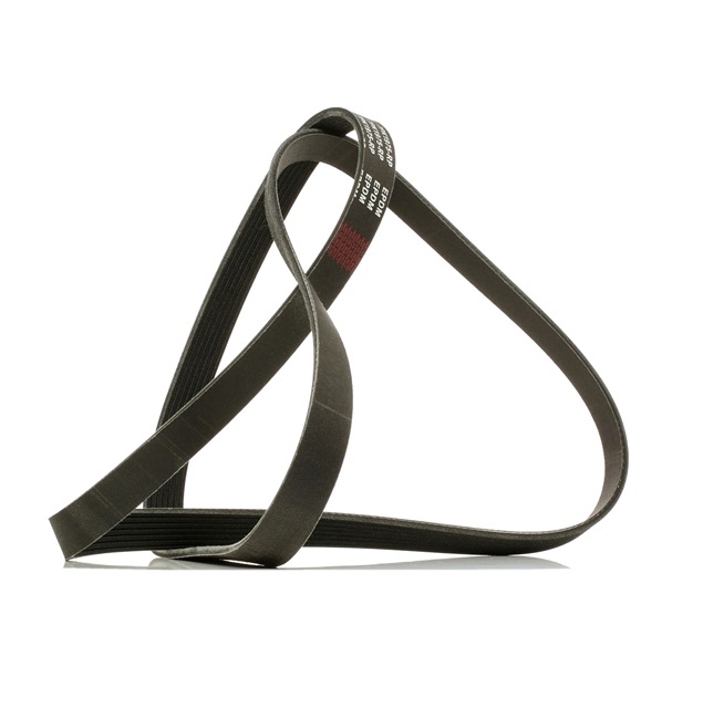 Achetez des Courroie Poly-V RIDEX PLUS 305P0327P à prix pour 18,67 €