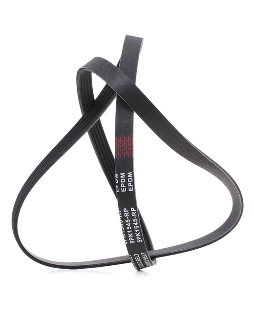 Keilrippenriemen 305P0041P von RIDEX PLUS günstig für 15,60 € online kaufen