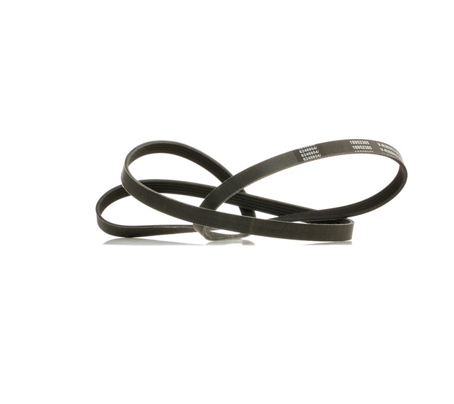 Keilrippenriemen 305P0045P von RIDEX PLUS günstig für 14,57 € online kaufen