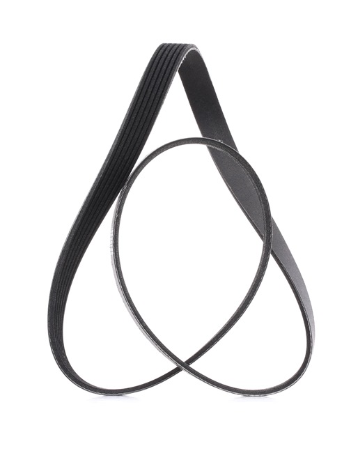 Keilrippenriemen 305P0302P von RIDEX PLUS günstig für 12,95 € online kaufen