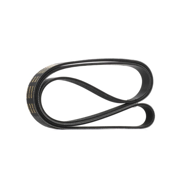 Achetez des Courroie Poly-V RIDEX PLUS 305P0142P à prix pour 15,94 €