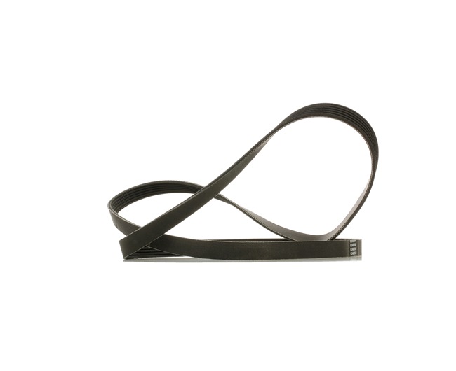 Achetez des Courroie Poly-V RIDEX PLUS 305P0092P à prix pour 17,04 €