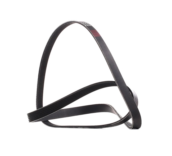 Achetez des Courroie Poly-V RIDEX PLUS 305P0181P à prix pour 15,09 €