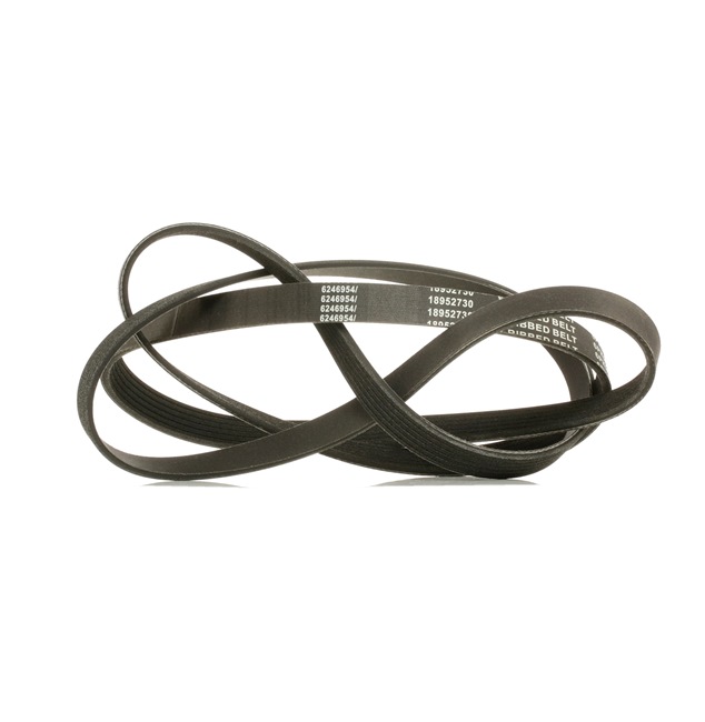 Achetez des Courroie Poly-V RIDEX PLUS 305P0162P à prix pour 19,55 €