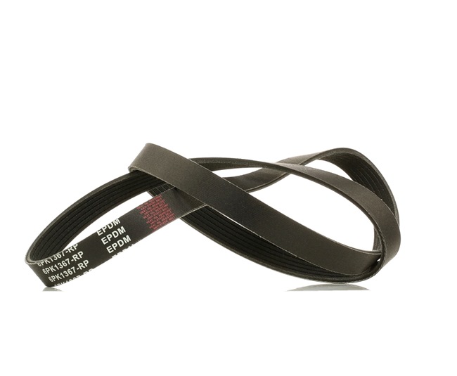 Achetez des Courroie Poly-V RIDEX PLUS 305P0177P à prix pour 15,25 €