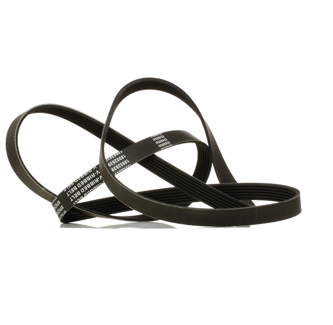Keilrippenriemen 305P0178P von RIDEX PLUS günstig für 18,68 € online kaufen
