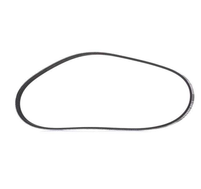 Achetez des Courroie Poly-V RIDEX PLUS 305P0434P à prix pour 8,03 €