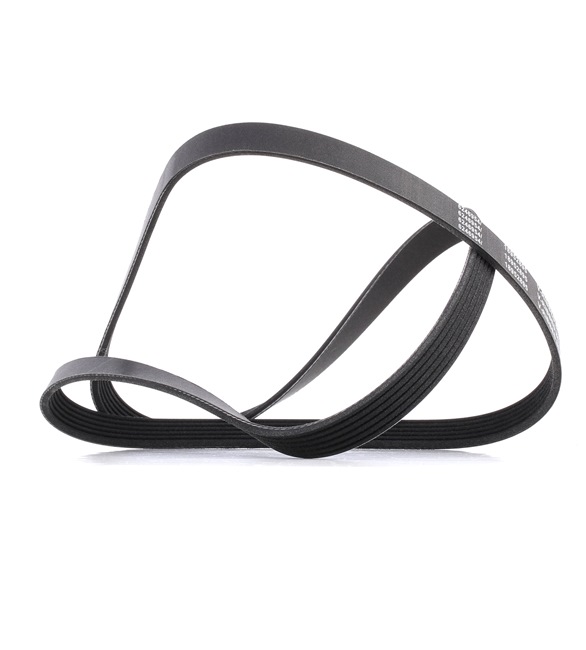 Achetez des Courroie Poly-V RIDEX PLUS 305P0080P à prix pour 13,82 €