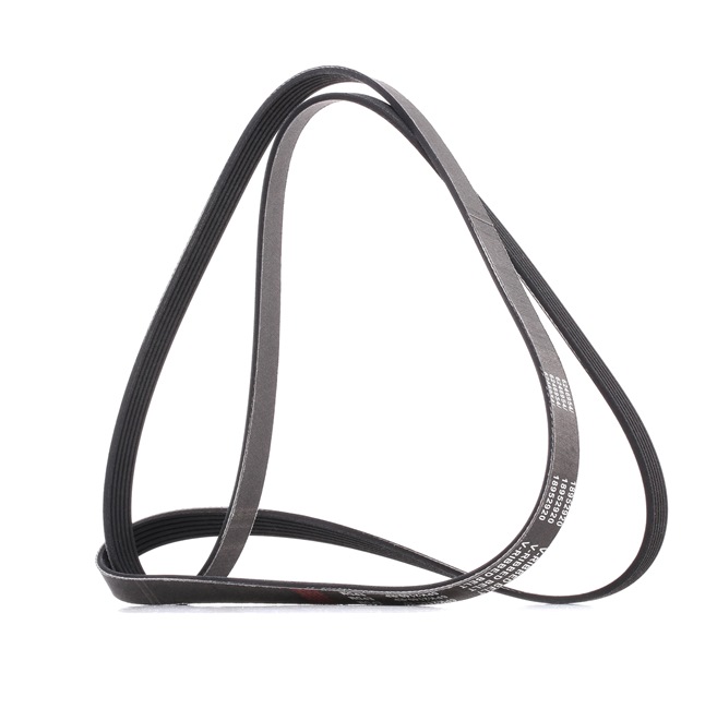 Achetez des Courroie Poly-V RIDEX PLUS 305P0158P à prix pour 18,96 €