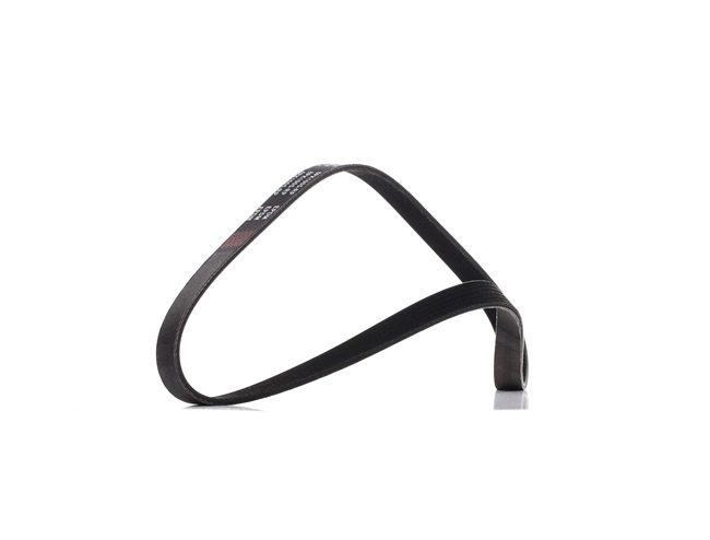 Compre Correia trapezoidal estriada da RIDEX PLUS 305P0425P a um preço baixo por 10,57 €