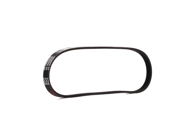 Achetez des Courroie Poly-V RIDEX PLUS 305P0360P à prix pour 13,17 €