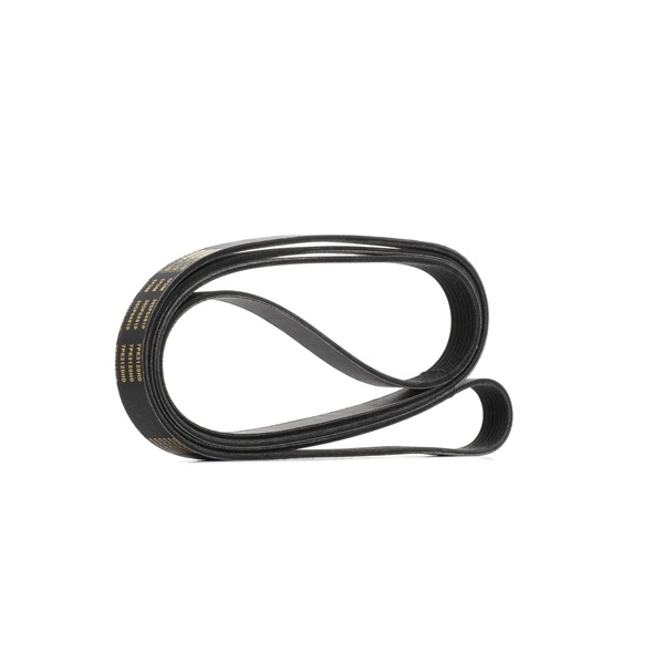 Achetez des RIDEX PLUS Courroie Poly-V Art.: 305P0481P en ligne