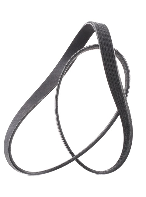 Achetez des Courroie Poly-V RIDEX PLUS 305P0176P à prix pour 10,18 €