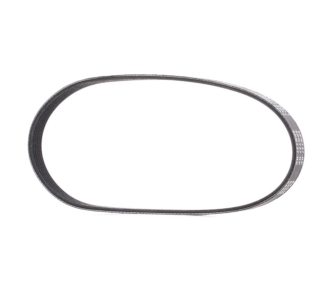 Compre Correia do alternador de RIDEX PLUS online para IBIZA V (KJ1) a preços moderados