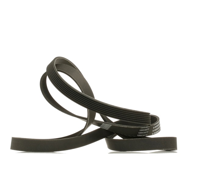 Keilrippenriemen 305P0229P von RIDEX PLUS günstig für 18,39 € online kaufen