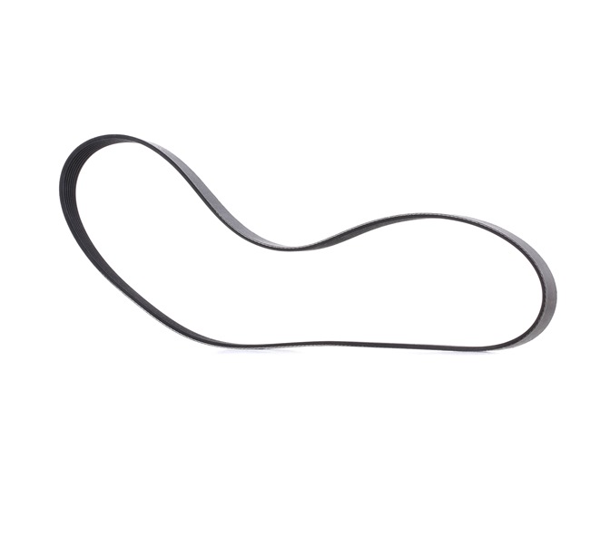 Keilrippenriemen 305P0489P von RIDEX PLUS günstig für 16,14 € online kaufen