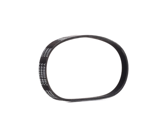 Achetez des Courroie Poly-V RIDEX PLUS 305P0502P à prix pour 7,16 €