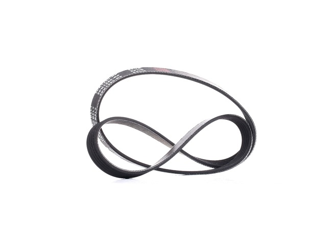 Keilrippenriemen 305P0159P von RIDEX PLUS günstig für 6,65 € online kaufen