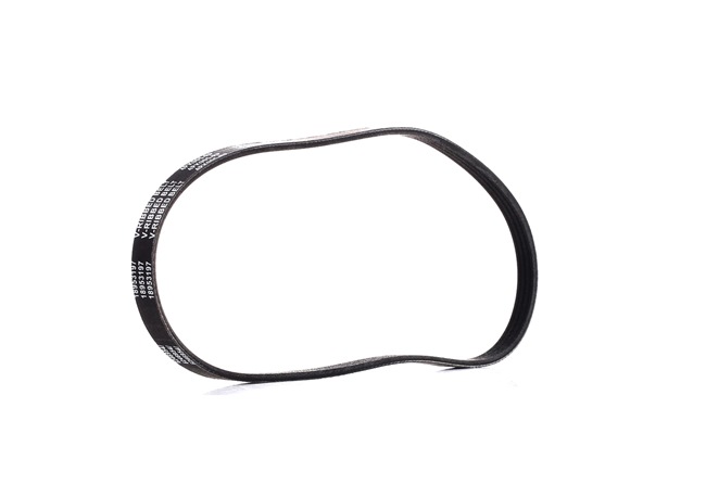 Compre Correa de alternador de RIDEX PLUS online para VOYAGER IV (RG, RS) a precios moderados