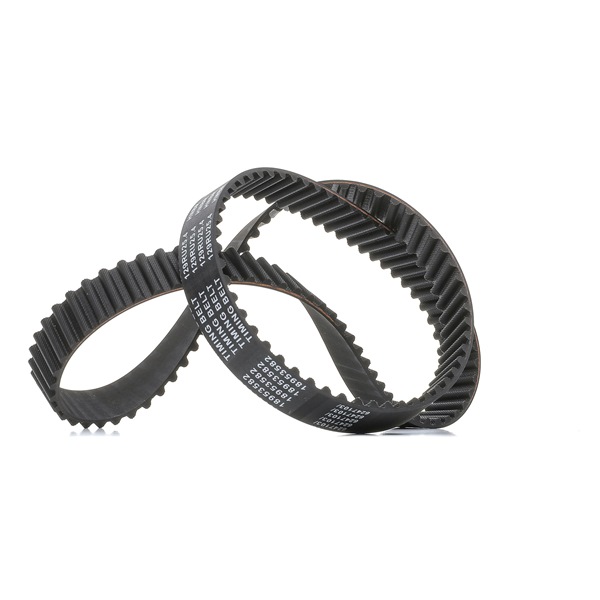 Zahnriemen 306T0095P
