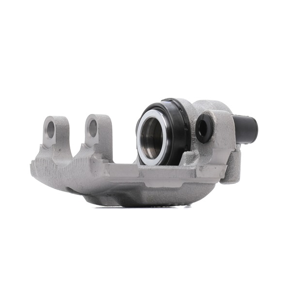 Online Shop für Bremssattel von RIDEX PLUS EAN: 4066423619508