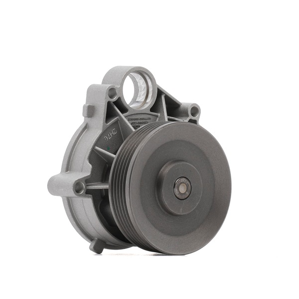 Compre RIDEX PLUS Bomba de água Art.: 1260W0133P online