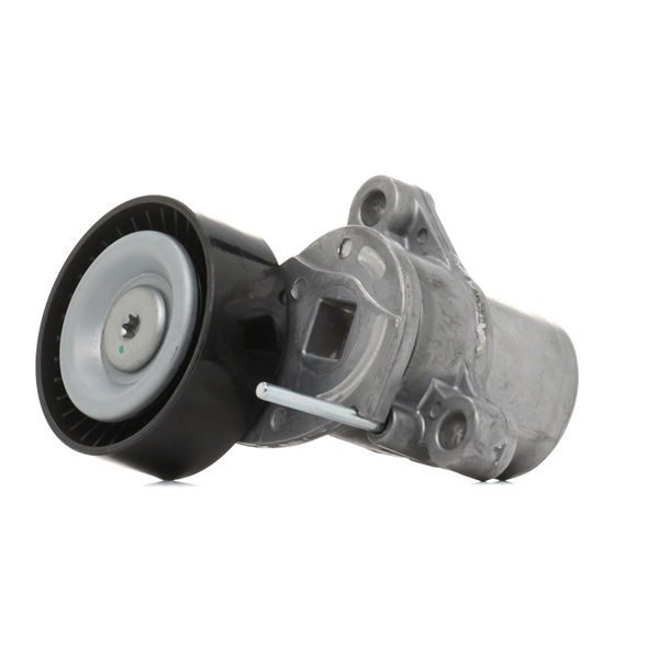 Compre Rolo tensor, correia trapezoidal estriada de RIDEX online para Fiesta Mk7 Hatchback a preços moderados