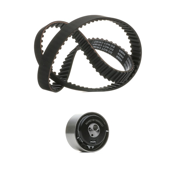 Achetez des Kit de distribution RIDEX PLUS 307T0105P à prix pour 50,50 €