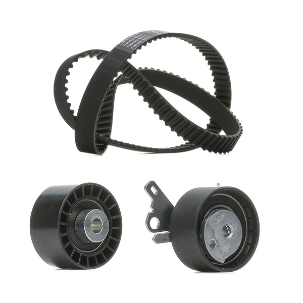 Achetez des Kit de distribution RIDEX PLUS 307T0053P à prix pour 79,84 €