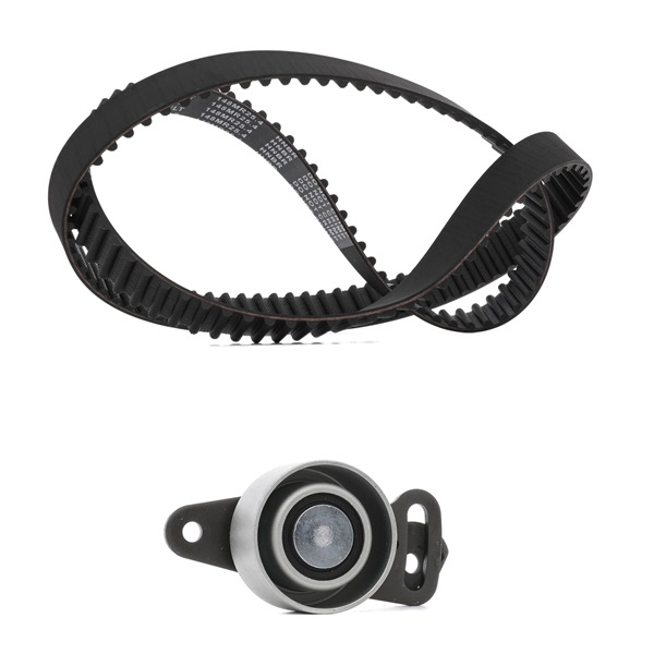 Köp Kamremssats av RIDEX PLUS 307T0069P till det låga priset 849,88 kr