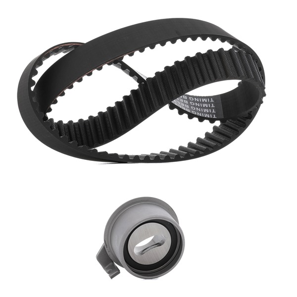 Achetez des Kit de distribution RIDEX PLUS 307T0072P à prix pour 41,51 €