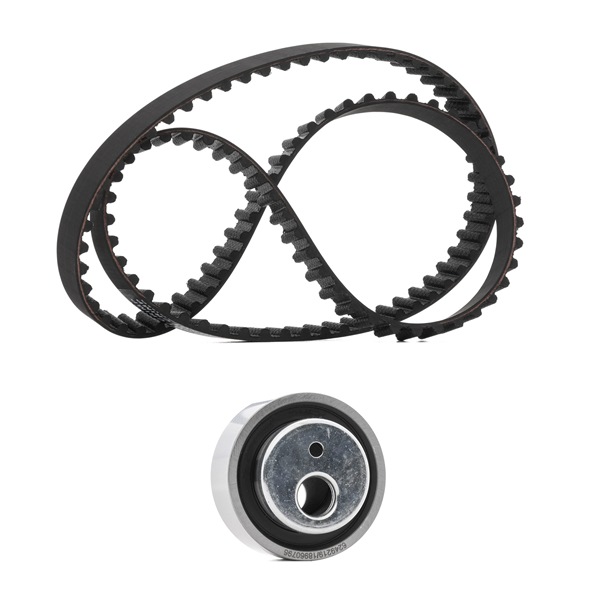 Achetez des Kit de distribution RIDEX PLUS 307T0116P à prix pour 34,56 €