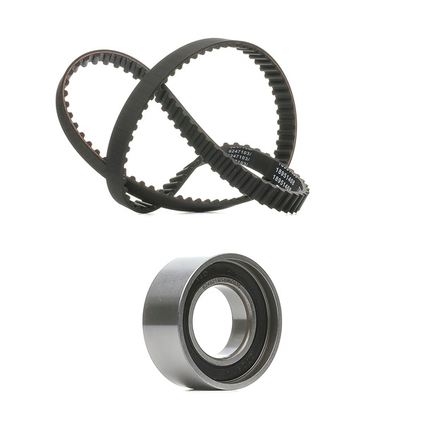 Achetez des Kit de distribution RIDEX PLUS 307T0073P à prix pour 26,37 €