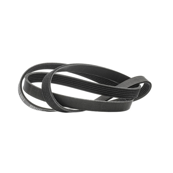 Achetez des Courroie Poly-V RIDEX PLUS 305P0083P à prix pour 16,18 €