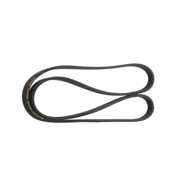 Keilrippenriemen 305P0088P von RIDEX PLUS günstig für 22,88 € online kaufen