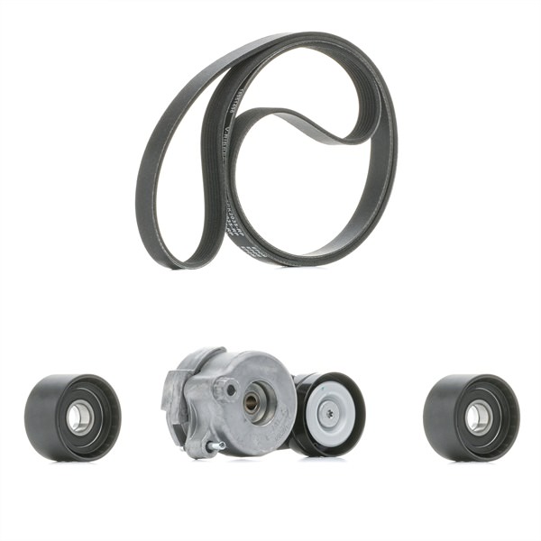 Achetez des Jeu de courroies trapézoïdales à nervures RIDEX PLUS 542R0010P à prix pour 134,40 €