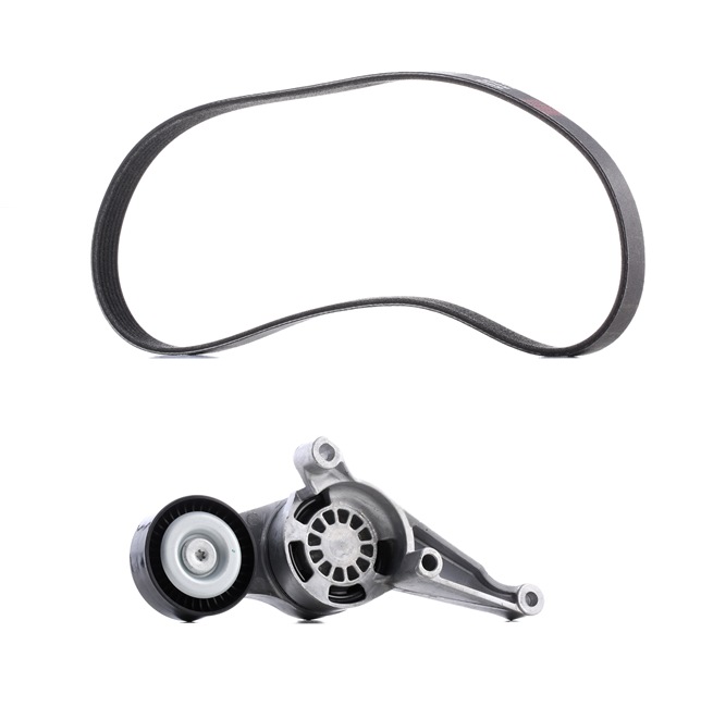 Acquista Kit Cinghie Poly-V da RIDEX PLUS 542R0007P a buon mercato per soli 56,34 €