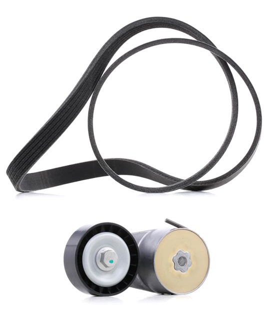 Achetez des Jeu de courroies trapézoïdales à nervures RIDEX PLUS 542R0016P à prix pour 52,00 €