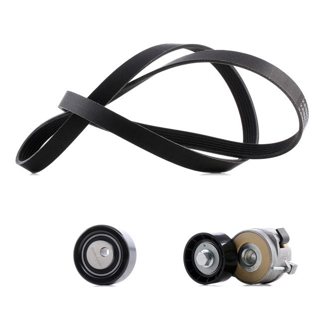 Achetez des Jeu de courroies trapézoïdales à nervures RIDEX PLUS 542R0048P à prix pour 71,79 €
