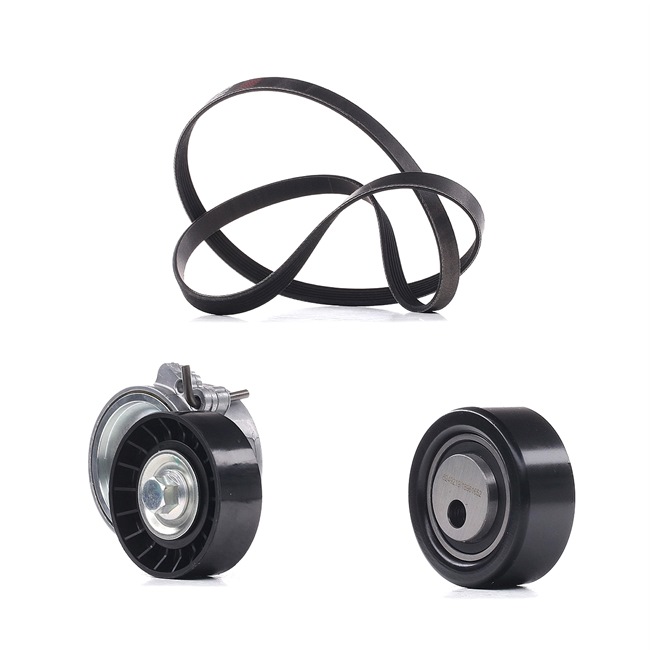 Achetez des Jeu de courroies trapézoïdales à nervures RIDEX PLUS 542R0038P à prix pour 90,52 €