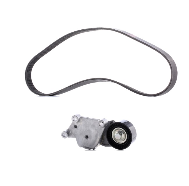 Achetez des Jeu de courroies trapézoïdales à nervures RIDEX PLUS 542R0114P à prix pour 49,38 €