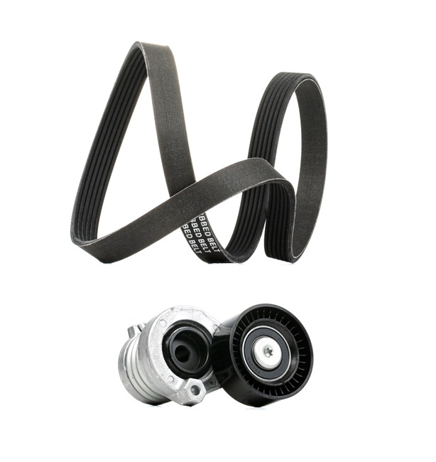 Achetez des Jeu de courroies trapézoïdales à nervures RIDEX PLUS 542R0108P à prix pour 71,35 €