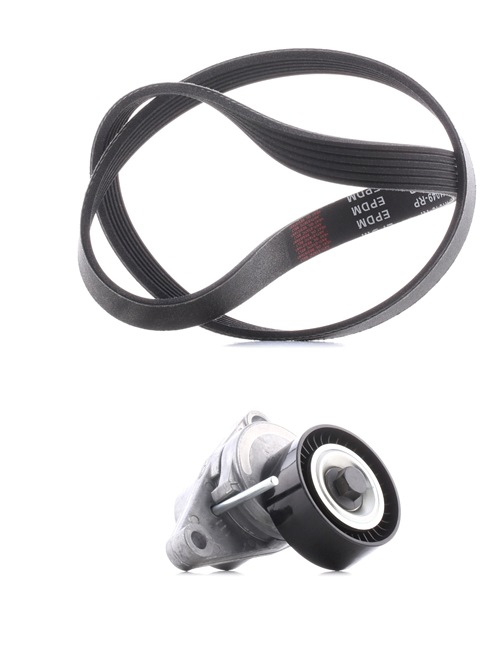 Achetez des Jeu de courroies trapézoïdales à nervures RIDEX PLUS 542R0006P à prix pour 48,97 €